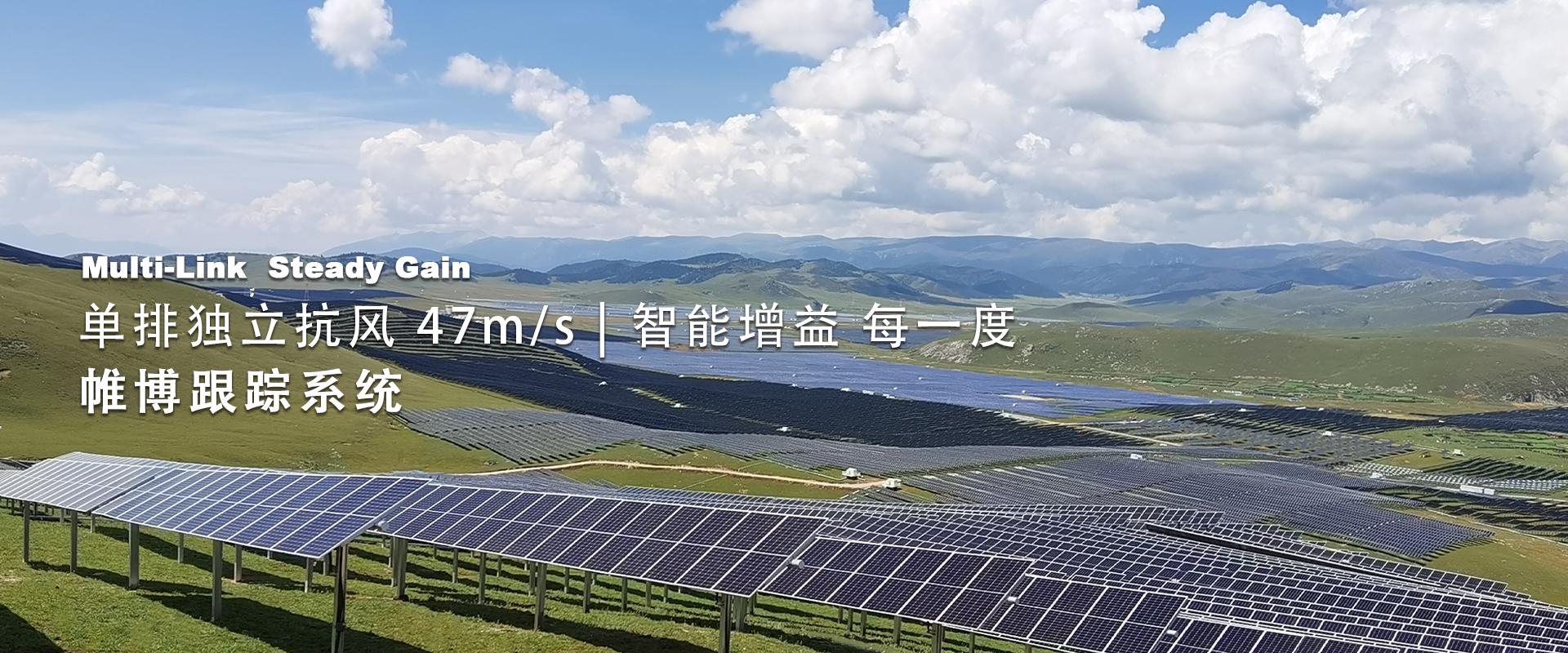 帷盛